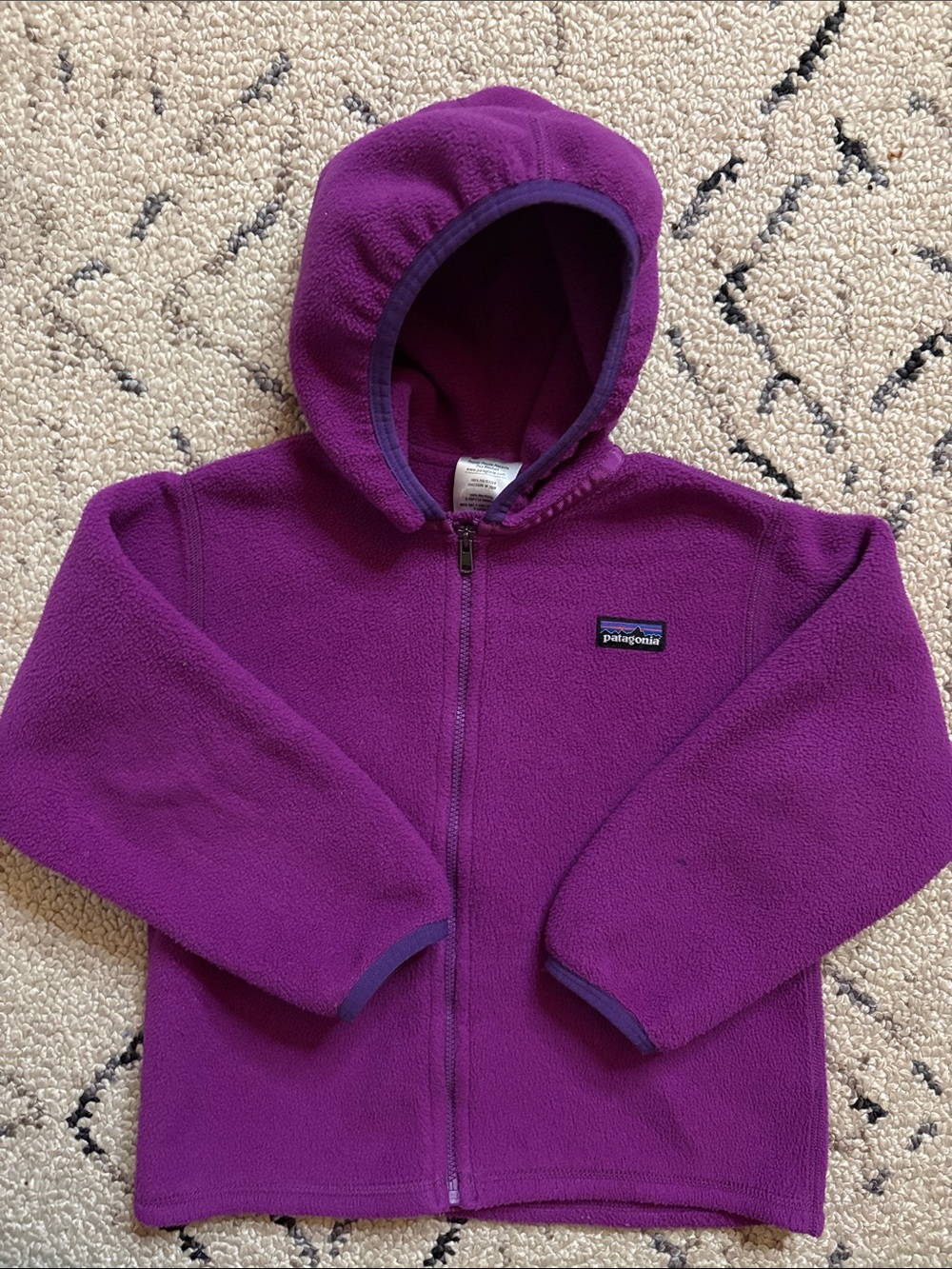 Patagonia Kids Fleece Jacket (4T) EUC